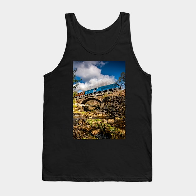 A4 Class Bittern Tank Top by davehudspeth